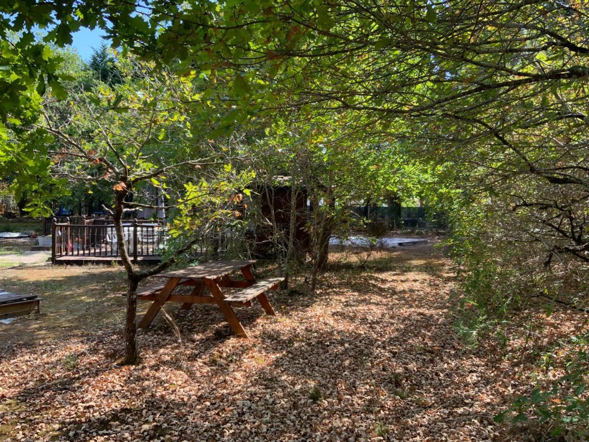 Commensacq Domaine De Labelo Bed & Breakfast エクステリア 写真