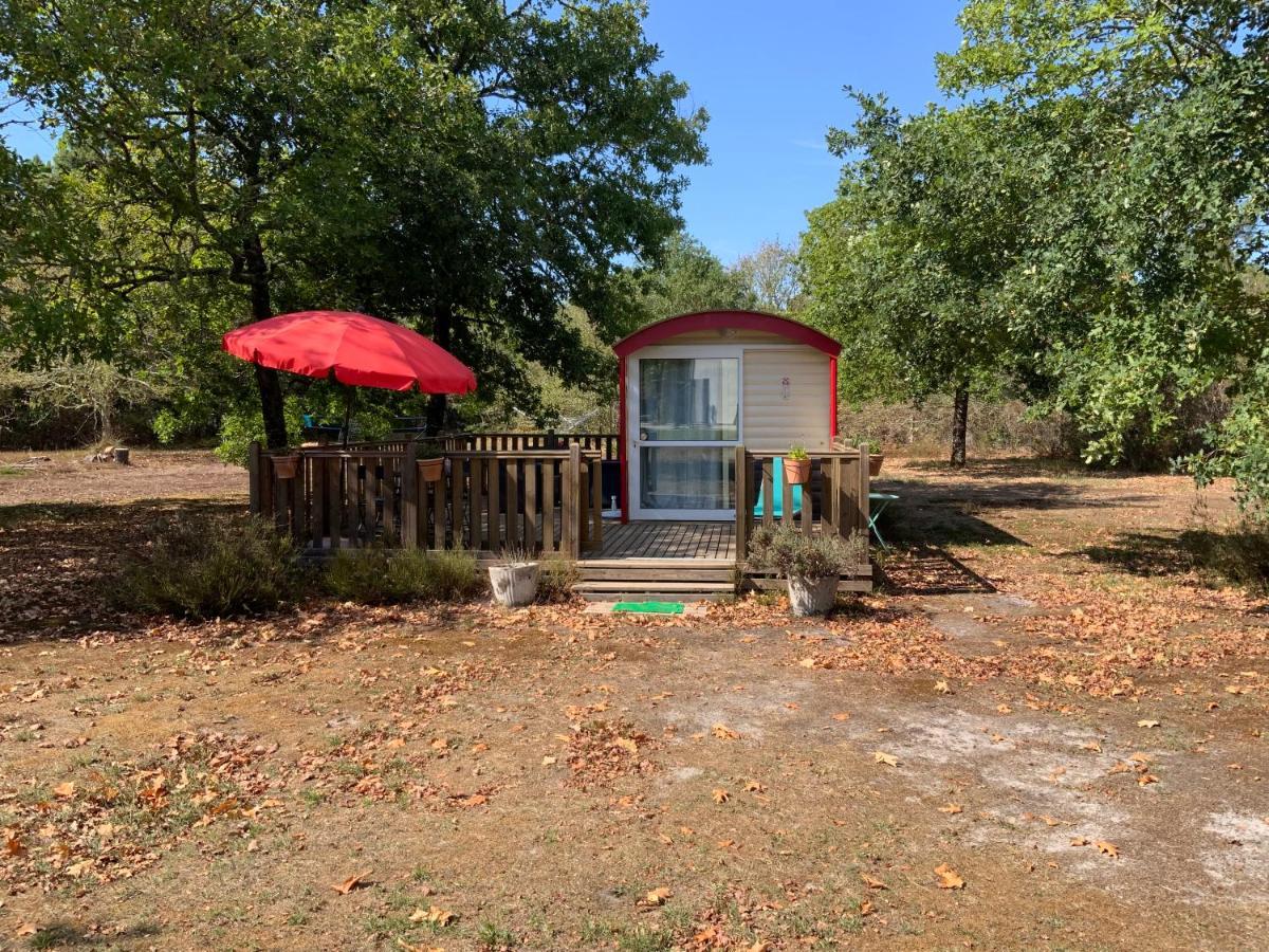 Commensacq Domaine De Labelo Bed & Breakfast エクステリア 写真